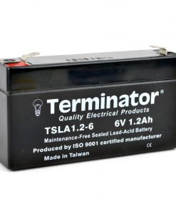 TSLA Battery 6V-1.2