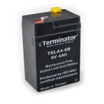 TSLA Battery 6V-4