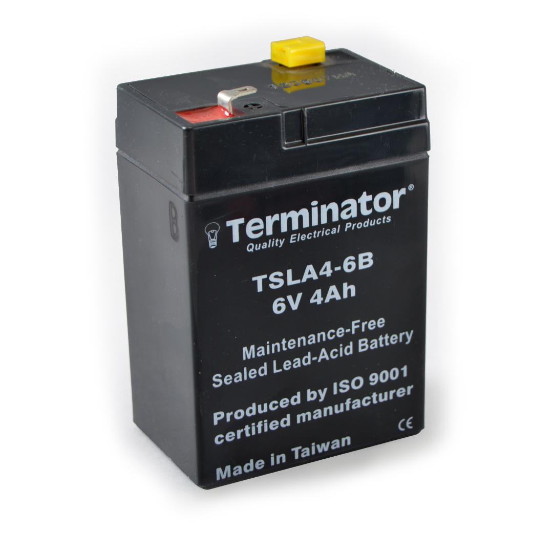 TSLA Battery 6V-4