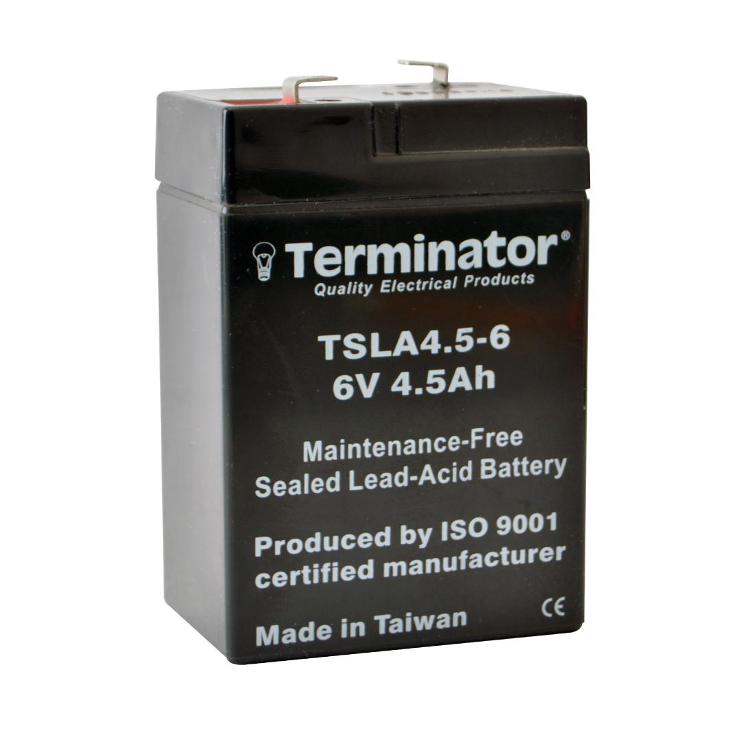 TSLA Battery 6V-4.5