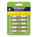 Ceramic Fuse 13A