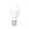 LED Bulb 9W Day Light B22